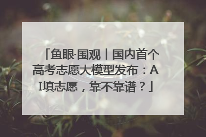 鱼眼·围观丨国内首个高考志愿大模型发布：AI填志愿，靠不靠谱？