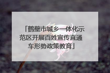 鹤壁市城乡一体化示范区开展百姓宣传直通车形势政策教育