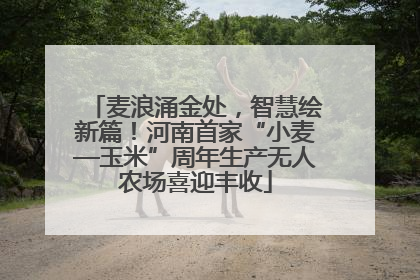 麦浪涌金处，智慧绘新篇！河南首家“小麦—玉米”周年生产无人农场喜迎丰收