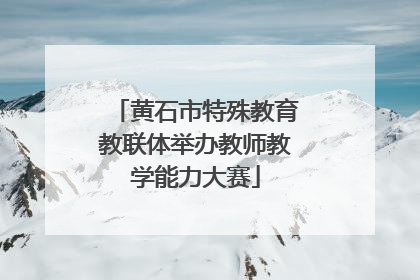 黄石市特殊教育教联体举办教师教学能力大赛