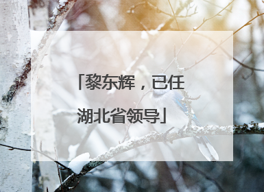 黎东辉，已任湖北省领导
