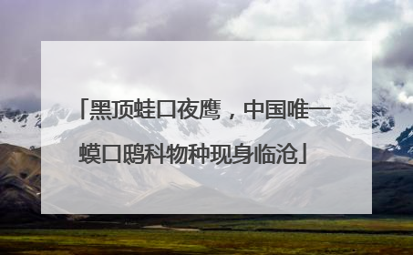 黑顶蛙口夜鹰，中国唯一蟆口鸱科物种现身临沧