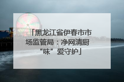 黑龙江省伊春市市场监管局：净网清厨 “味”爱守护