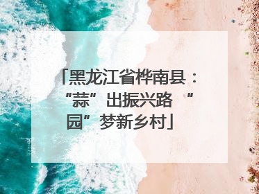 黑龙江省桦南县：“蒜”出振兴路 “园”梦新乡村