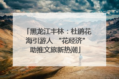 黑龙江丰林：杜鹃花海引游人 “花经济”助推文旅新热潮