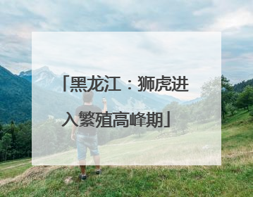 黑龙江：狮虎进入繁殖高峰期