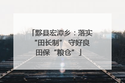 黟县宏潭乡：落实“田长制” 守好良田保“粮仓”