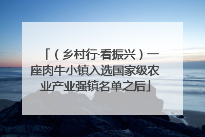 （乡村行·看振兴）一座肉牛小镇入选国家级农业产业强镇名单之后