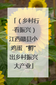 （乡村行·看振兴）江西赣县小鸡蛋“孵”出乡村振兴大产业