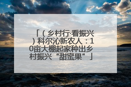 （乡村行·看振兴）科尔沁新农人：10亩大棚起家种出乡村振兴“甜蜜果”