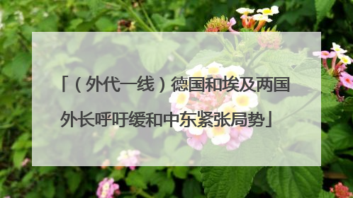 （外代一线）德国和埃及两国外长呼吁缓和中东紧张局势