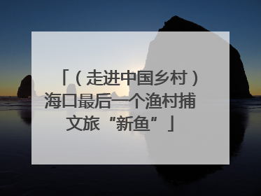 （走进中国乡村）海口最后一个渔村捕文旅“新鱼”