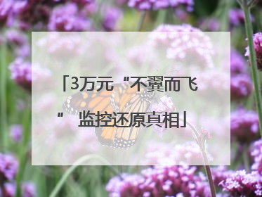 3万元“不翼而飞” 监控还原真相