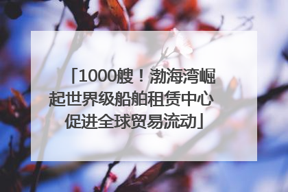 1000艘！渤海湾崛起世界级船舶租赁中心 促进全球贸易流动