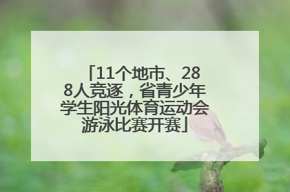 11个地市、288人竞逐，省青少年学生阳光体育运动会游泳比赛开赛