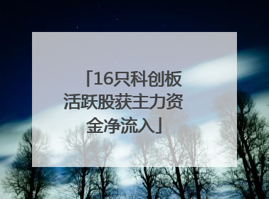 16只科创板活跃股获主力资金净流入