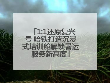 1:1还原复兴号 哈铁打造沉浸式培训舱解锁暑运服务新高度