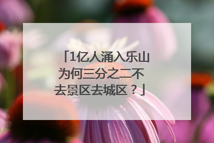 1亿人涌入乐山 为何三分之二不去景区去城区？