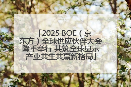 2025 BOE（京东方）全球供应伙伴大会隆重举行 共筑全球显示产业共生共赢新格局