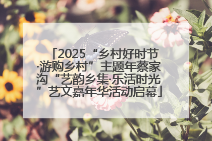 2025“乡村好时节·游购乡村”主题年蔡家沟“艺韵乡集·乐活时光”艺文嘉年华活动启幕
