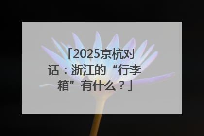 2025京杭对话：浙江的“行李箱”有什么？