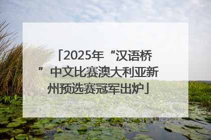 2025年“汉语桥”中文比赛澳大利亚新州预选赛冠军出炉