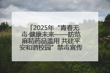 2025年“青春无毒·健康未来——防范麻精药品滥用 共建平安和谐校园”禁毒宣传专题活动在咸宁举行