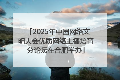 2025年中国网络文明大会优质网络主播培育分论坛在合肥举办