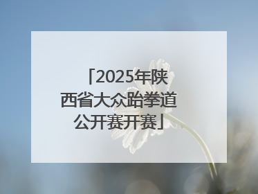 2025年陕西省大众跆拳道公开赛开赛
