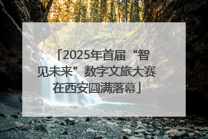 2025年首届“智见未来”数字文旅大赛在西安圆满落幕
