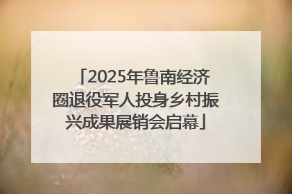2025年鲁南经济圈退役军人投身乡村振兴成果展销会启幕