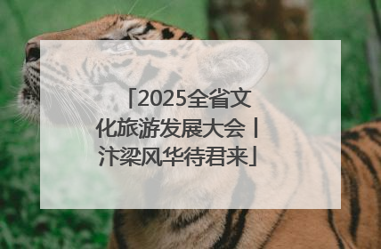 2025全省文化旅游发展大会丨汴梁风华待君来