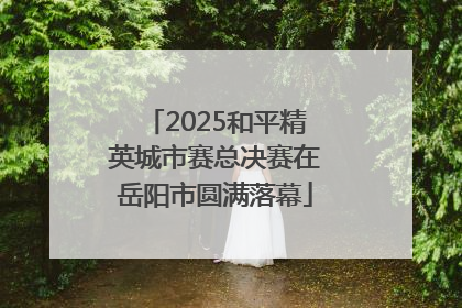 2025和平精英城市赛总决赛在岳阳市圆满落幕