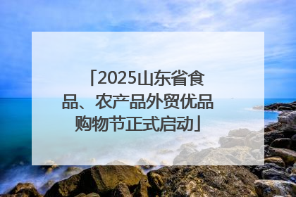 2025山东省食品、农产品外贸优品购物节正式启动