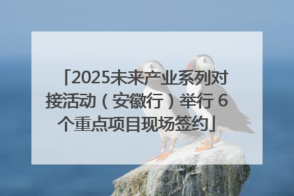 2025未来产业系列对接活动（安徽行）举行 6个重点项目现场签约