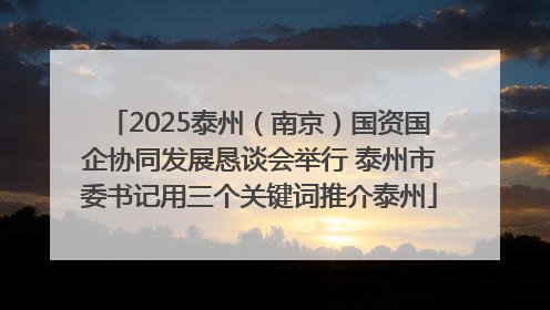 2025泰州（南京）国资国企协同发展恳谈会举行 泰州市委书记用三个关键词推介泰州