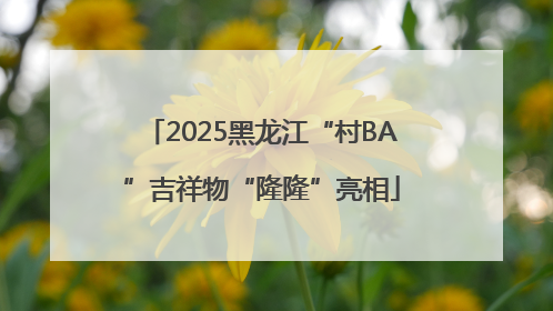 2025黑龙江“村BA”吉祥物“隆隆”亮相