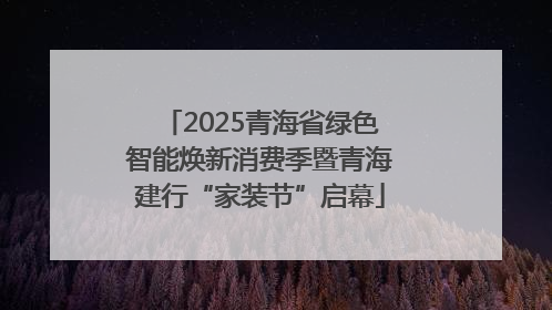 2025青海省绿色智能焕新消费季暨青海建行“家装节”启幕