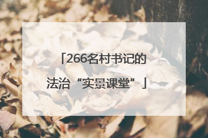 266名村书记的法治“实景课堂”
