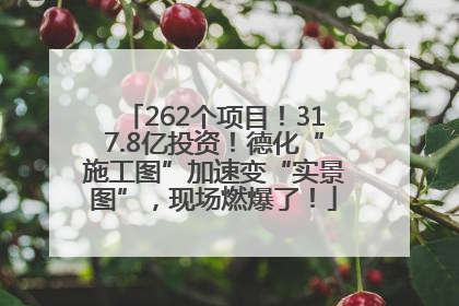 262个项目！317.8亿投资！德化“施工图”加速变“实景图”，现场燃爆了！