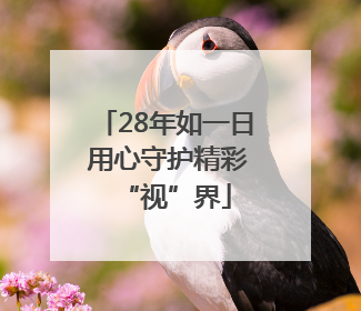 28年如一日 用心守护精彩“视”界