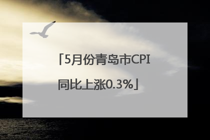 5月份青岛市CPI同比上涨0.3%