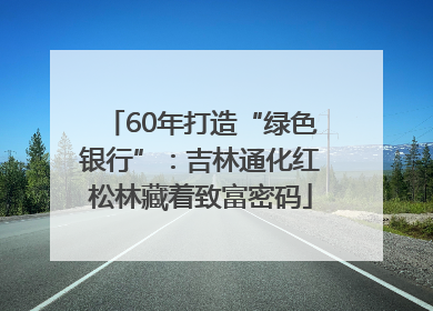 60年打造“绿色银行”：吉林通化红松林藏着致富密码