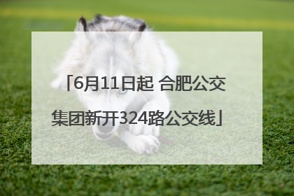 6月11日起 合肥公交集团新开324路公交线