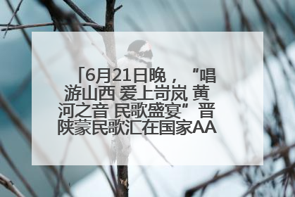 6月21日晚，“唱游山西 爱上岢岚 黄河之音 民歌盛宴”晋陕蒙民歌汇在国家AAA级景区——岢岚宋长城精彩上演
