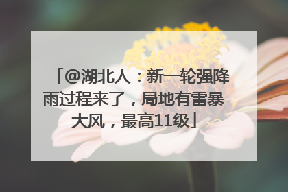 @湖北人：新一轮强降雨过程来了，局地有雷暴大风，最高11级
