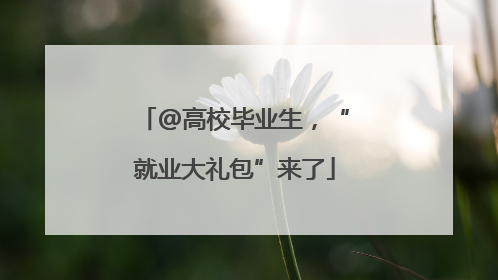 @高校毕业生，“就业大礼包”来了