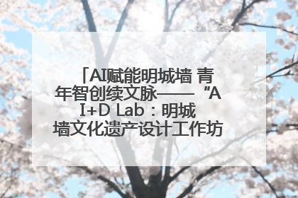 AI赋能明城墙 青年智创续文脉——“AI+D Lab：明城墙文化遗产设计工作坊”在南京开营