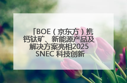 BOE（京东方）携钙钛矿、新能源产品及解决方案亮相2025 SNEC 科技创新赋能行业绿色发展