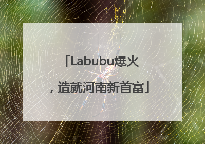 Labubu爆火，造就河南新首富